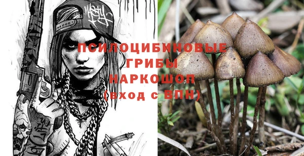 гашиш Абаза