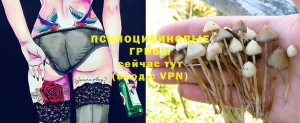 гашиш Абаза