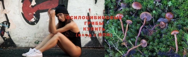 гашиш Абаза